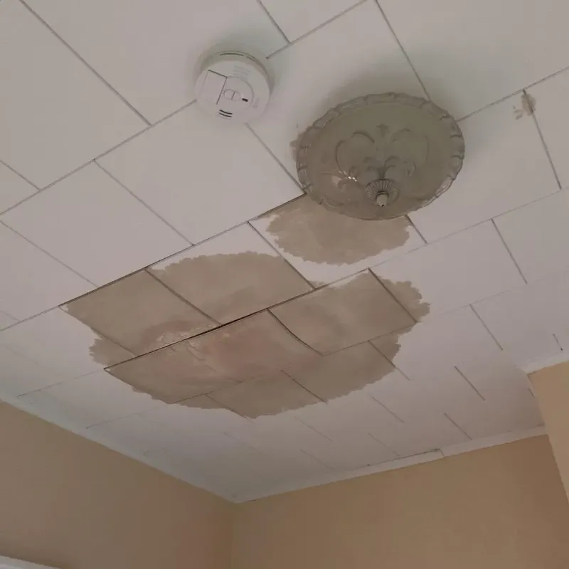 Ceiling Water Damage Repair in Freetown, MA